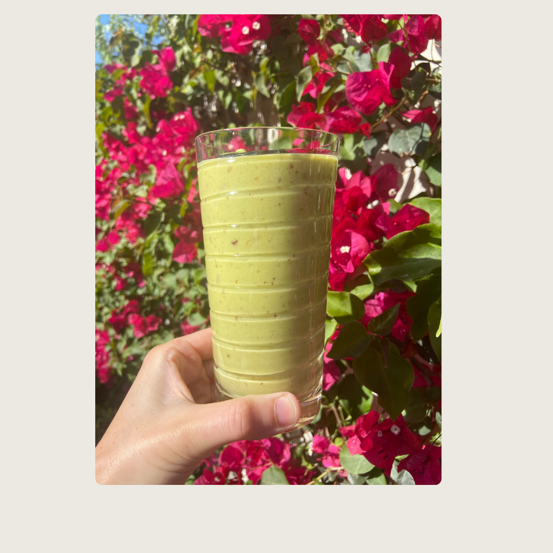 Avocado Date Shake Primavera Avocados