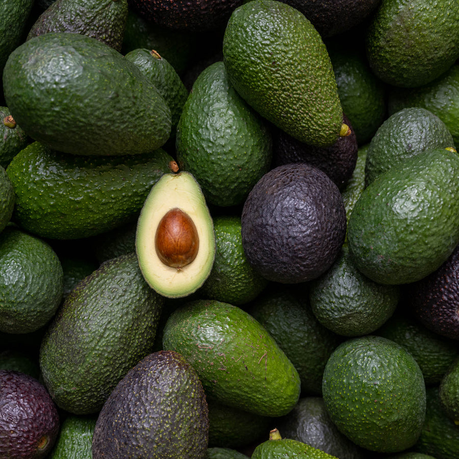 Primavera Avocados