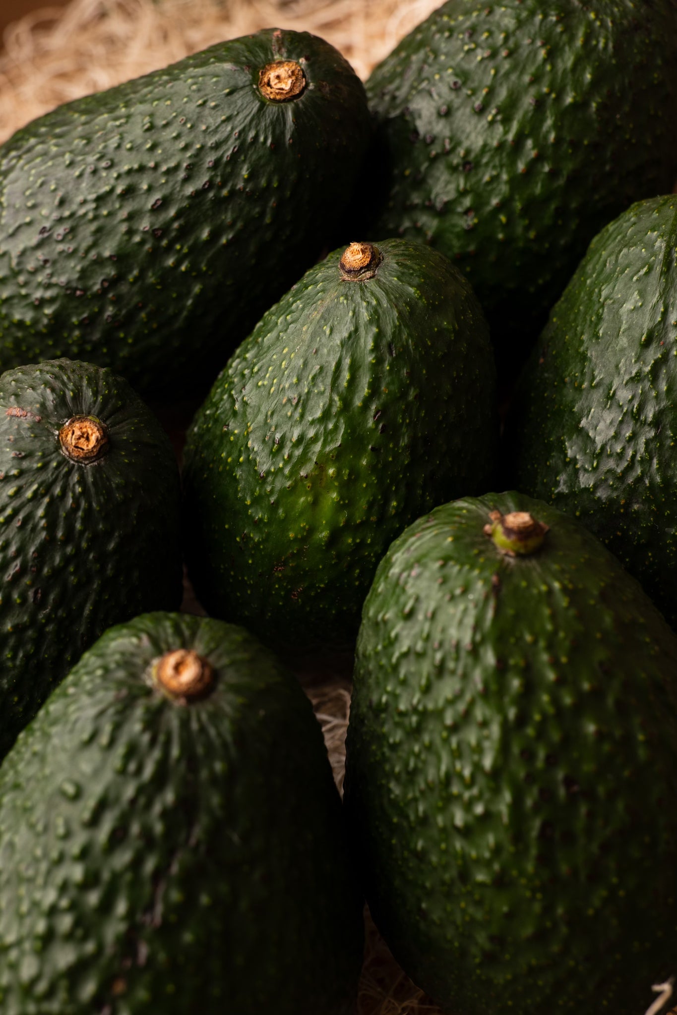 Holiday Gift Bundle: Avocado vase and box of Primavera Avocados