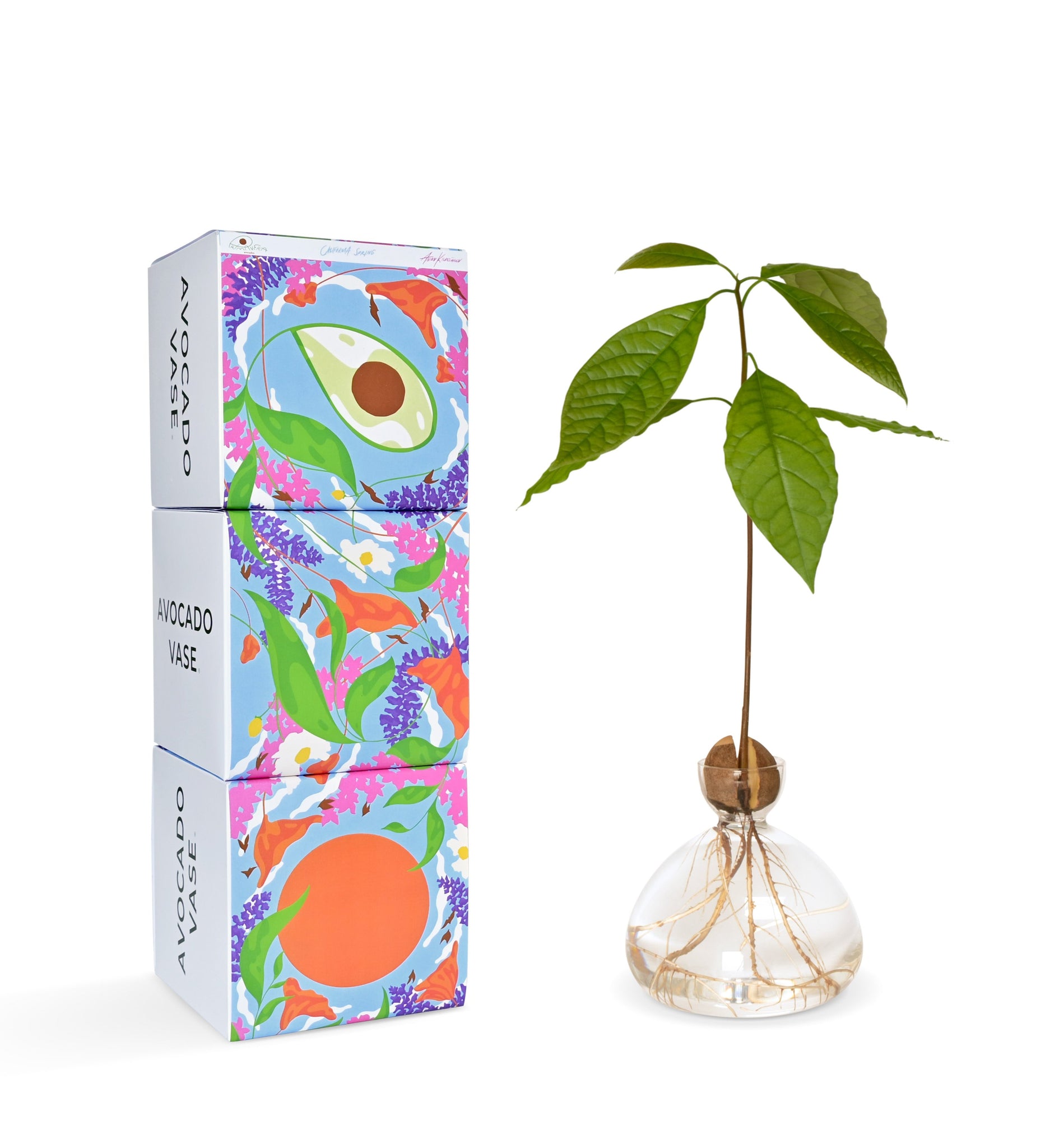 Primavera Avocado Vase